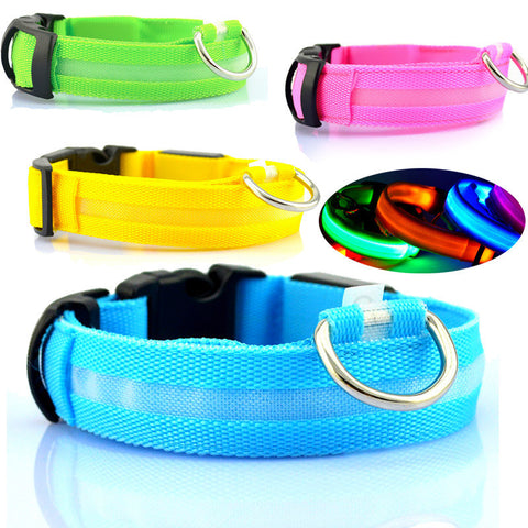 LED Light Collar