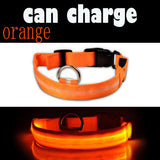 LED Light Collar