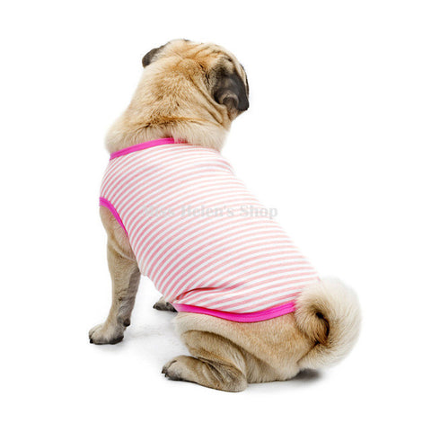 Pug Clothes