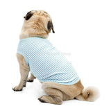 Pug Clothes