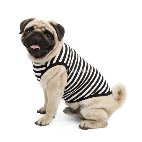Pug Clothes