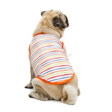 Pug Clothes