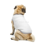 Pug Clothes