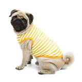 Pug Clothes