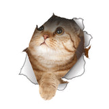 Waterproof Sticker